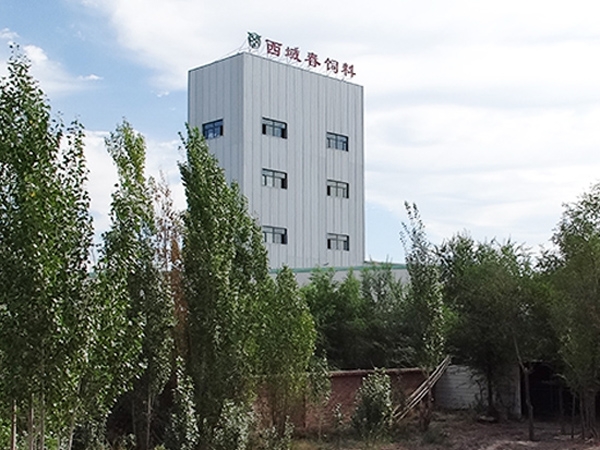 新疆西域春乳業